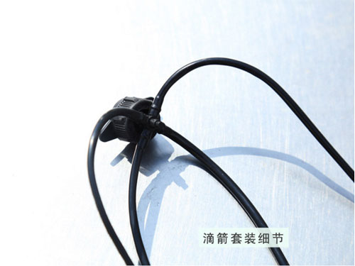 c鿴ԔϢ}μb(ji) xΔ(sh)2168
